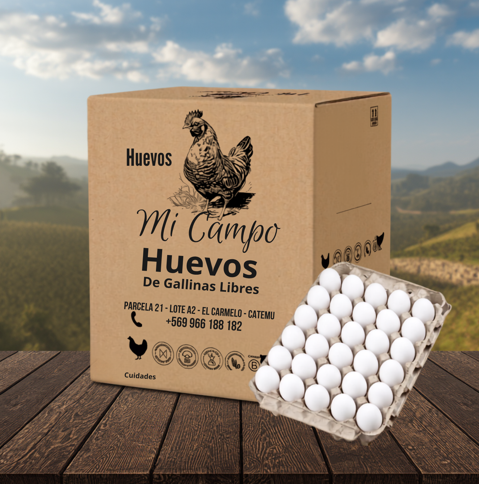 Huevos Segunda